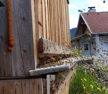 Nikolsdorf Apartment | Multererhof