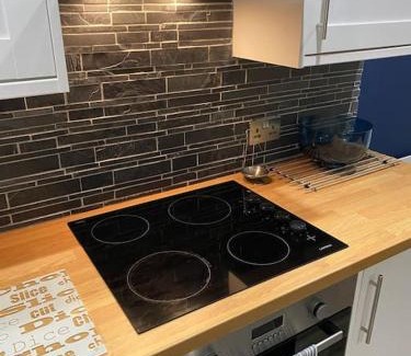 Mumbles Apartment | Mumbles - Modern Apartment with panoramic sea views