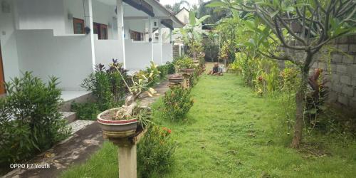 Purwakerti House | Murni house