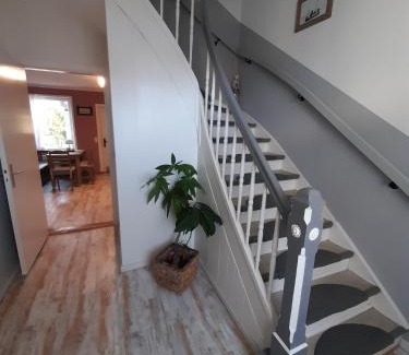 Toenning Apartment | Muschelkästchen EG