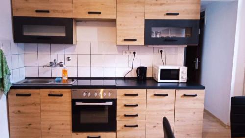 Szombathely Apartment | Museum Park Szell str B- Downtown 1 Bedroom+Living Room apartment