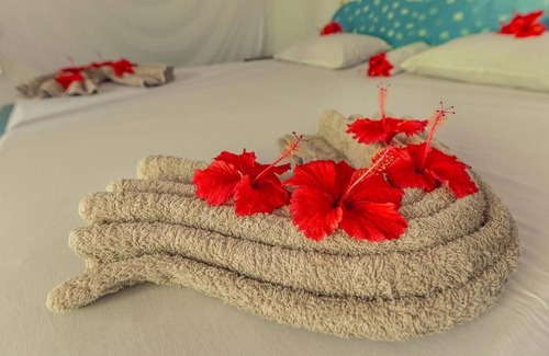 Bwejuu Beach House | Mustapha's Place