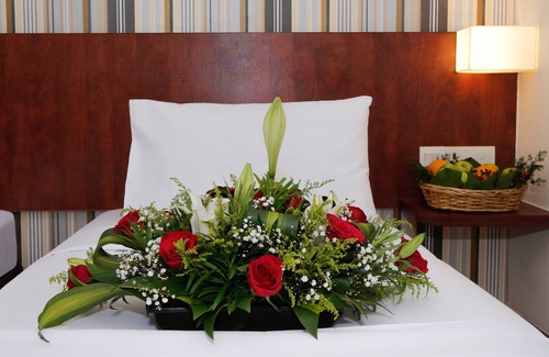 Brickfields Hotel | My Hotel @ KL Sentral