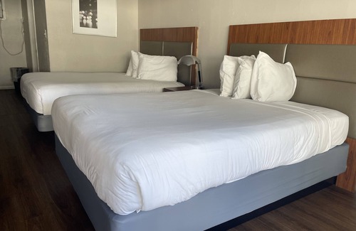 Myrtle Beach Hotel | Mystic Sea Resort