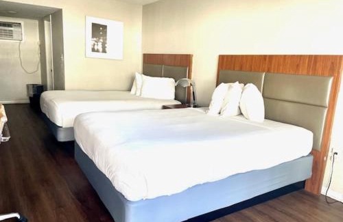 Myrtle Beach Hotel | Mystic Sea
