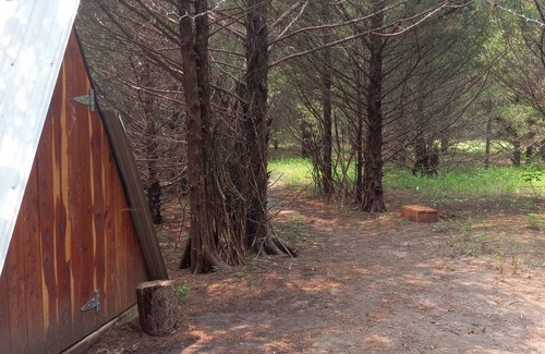 Elkland RV Rental | Mystic Woods @B Berry Farms