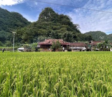 Quang Uyen Ski Chalet | Nùng An homestay-Nùng ethnic group