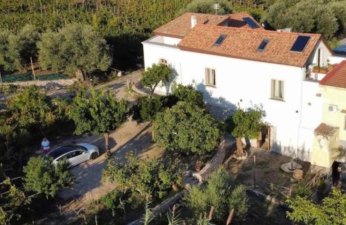 Piazza Roma House | N'haidea - AgriFarm e B&B