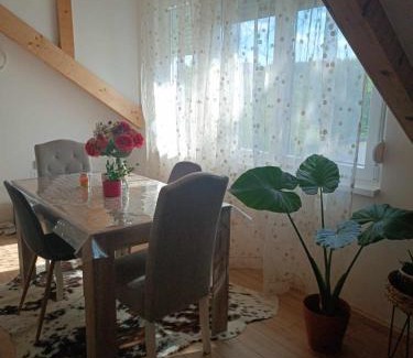 Vrdnik Apartment | Naš san