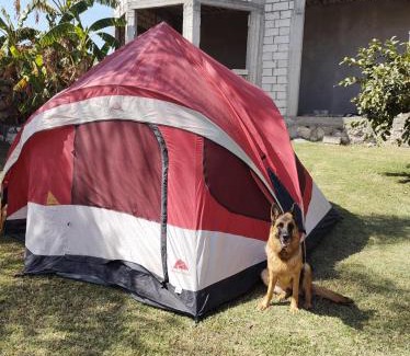 Texcalpan Other | Nada y acampa con tus perritos