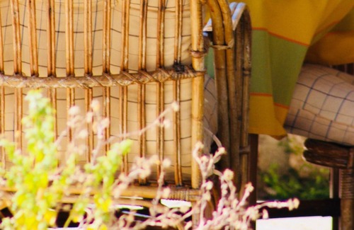 Kefalari Cottage | Nafplio Cottage - THE KOTSONIS ESTATE, Olive Grove