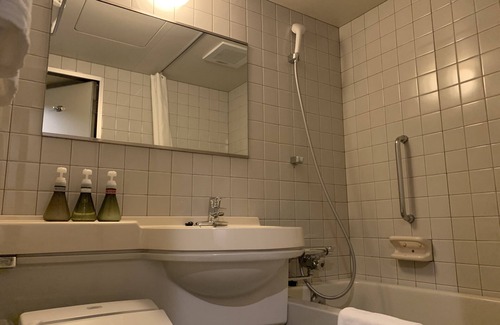 Nagoya City Centre Hotel | Nagoyaeki Accesshotel