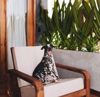 San Pedro Pochutla Hotel | Naked Hotel Zipolite -Adults Only-