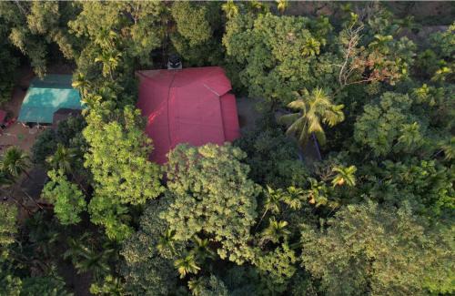 Sylhet House | Naljuri Inn