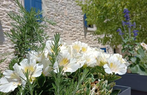 St.-Remy-de-Provence Villa | Namaste Home, votre havre de paix à St Rémy ! Parking wifi inclus