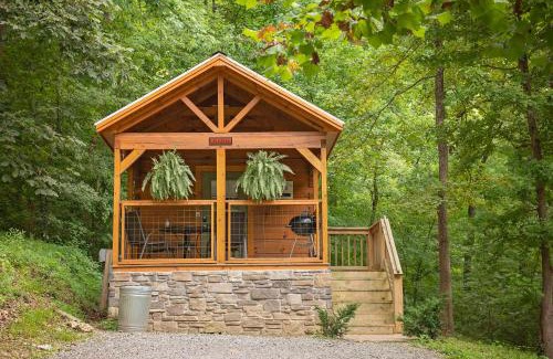 Lookout Valley Neighborhood Association House | Nana Cabin Tiny Log Home Comfort In Rustic Bliss