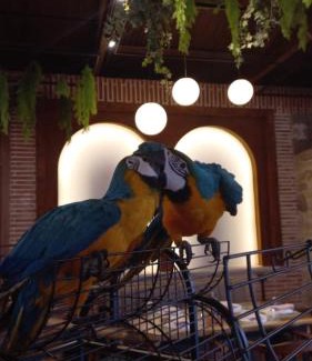 Petrele House | Nano Bio Food Farm