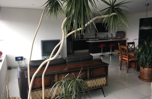Benito Juarez Condo | Napoles Condo Suite