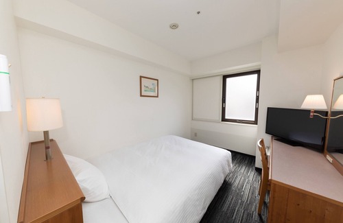 Nara Hotel | Nara Washington Hotel Plaza