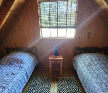 Conaripe House | Nativosur