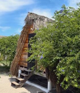 Villa de Tututepec de Melchor Ocampo Other | Nattivo Chacahua
