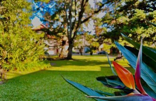 Vila Suica Hotel | Natur Hotel - 700m da Rua Coberta