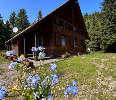 Zetea House | Natura BH