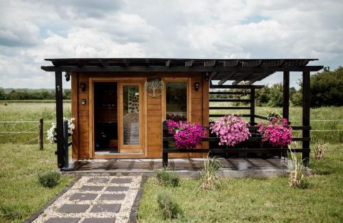 Zdrelo House | Natura Bungalow