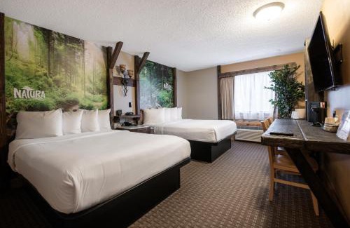 Wisconsin Dells Hotel | Natura Treescape Resort