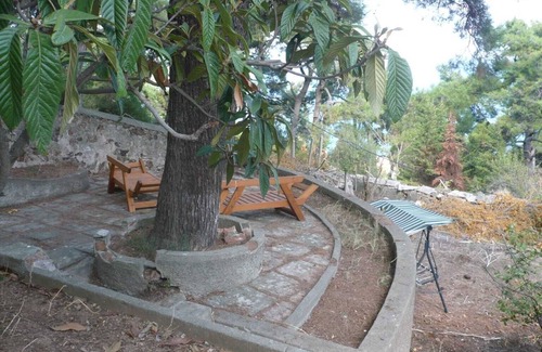 Adalar Apartment | natural life