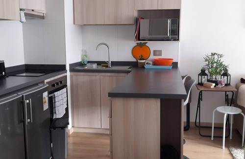 Vina del Mar Apartment | Natural zone apartment for 3 people with parking space