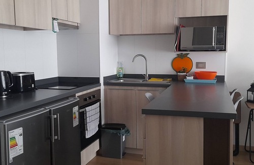 Vina del Mar Apartment | Natural zone apartment for 3 people with parking space