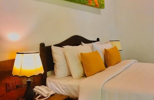 Dambulla Hotel | NATURALIZA