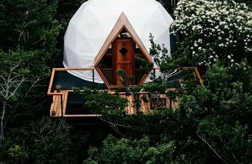 Monteverde Cabin | NATURAVE - Into the woods - Mountain cabins