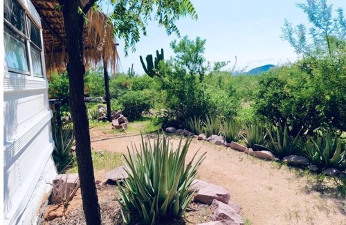 La Paz Cabin | Nature House/bus Overlooking La Paz