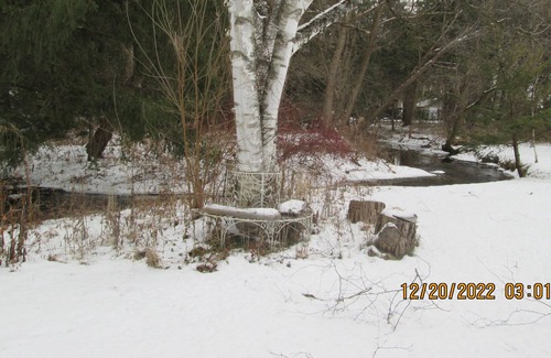 Markham House | Nature lovers retreat just 10 minutes North of the City