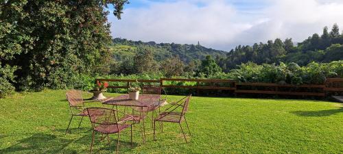Hoekwil Apartment | Nature on your doorstep