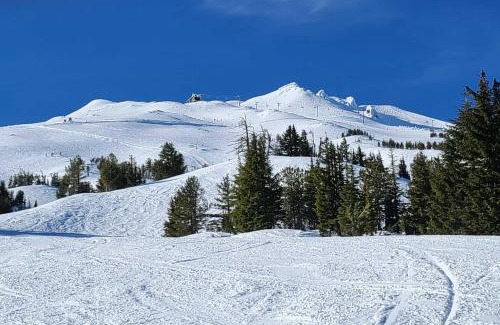 Bend Apartment | Nature Retreat at Seventh Mountain Resort!