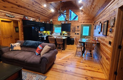Robbinsville Cabin | Nature's Delight in Robbinsville NC: Snowbird Creek, Dragon's Tail and Trout