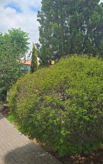 Greater Johannesburg Metropolitan Area House | Nature's Retreat
