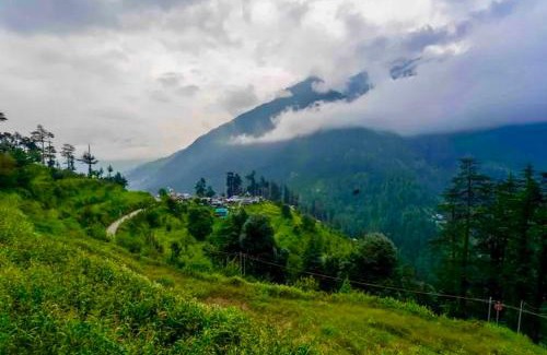 Jibhi Ski Chalet | Nature View Cottage jibhi