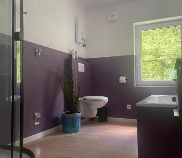 Andernach Apartment | Naturerlebnis direkt am Traumfad