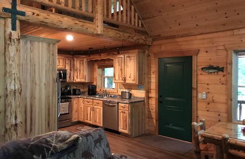 Wautoma Cabin | Natures retreat! Lakeside log cabin on 7 acres! Hike, Fish, Swim, Kayak, Spa!
