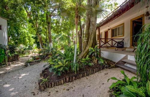 Puerto Morelos Hotel | Naturik Hotel
