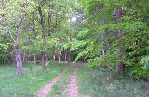 Oberhavel Apartment | Naturpur