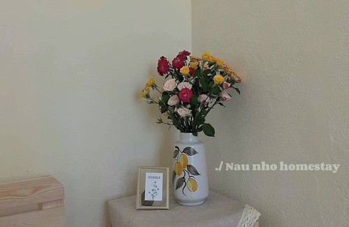 Ngo Quyen Apartment | Nau Nho Homestay