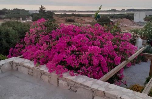 Naxos House | Naxos Alyko Traditional Vacation House 'Mitatos'