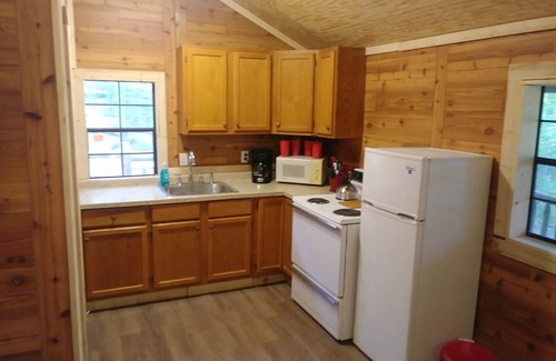 McArthur Cabin | Near Caves; Hot Tub; WiFi; Deck, Grill, Fire Pit, Pets OK, Wooded, Satellite TV