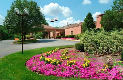 Foxboro Apartment | Near Gillette Stadium and Wrentham Village Premium Outlets, Pet-Friendly Stay!