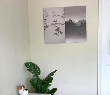 Renfrew-Collingwood House | Near SkyTrain & Bus Stop Cozy Private Rooms in Vancouver Shared House